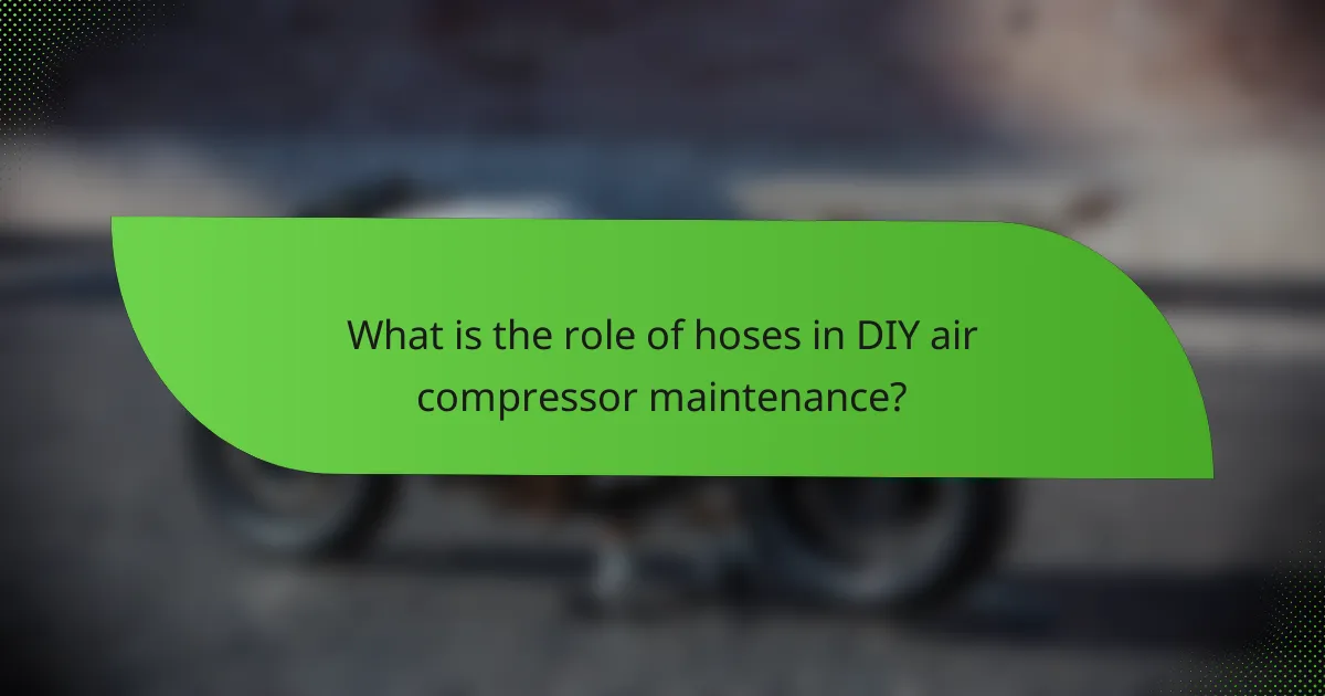 What is the role of hoses in DIY air compressor maintenance?
