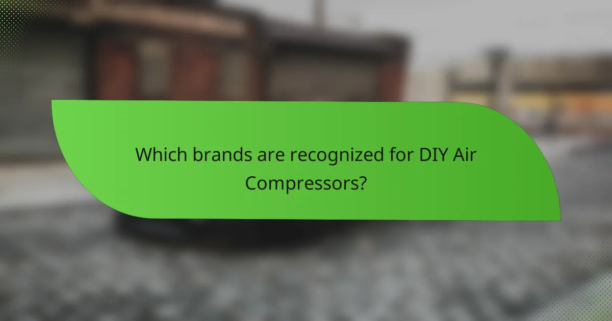 Which brands are recognized for DIY Air Compressors?